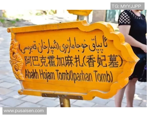 伊朗足球明星巴什么的传奇故事与辉煌成就揭秘